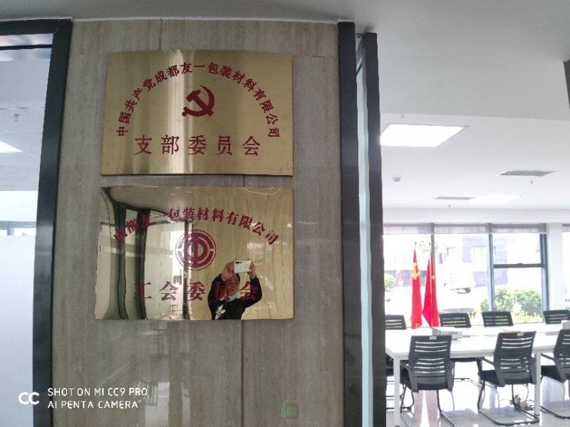 ����ף��AG�ι��ּ��ųɶ��ֹ�˾��֧����2020��3��11�����ƽ�����֧����ǲ���(������˾��)